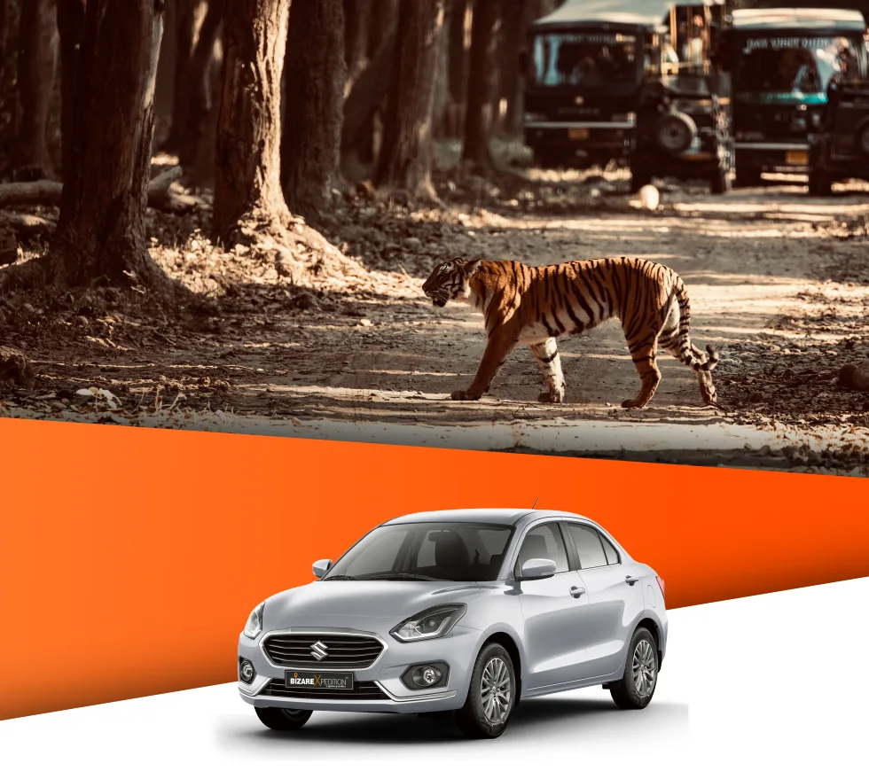 Corbett Nainital by Sedan